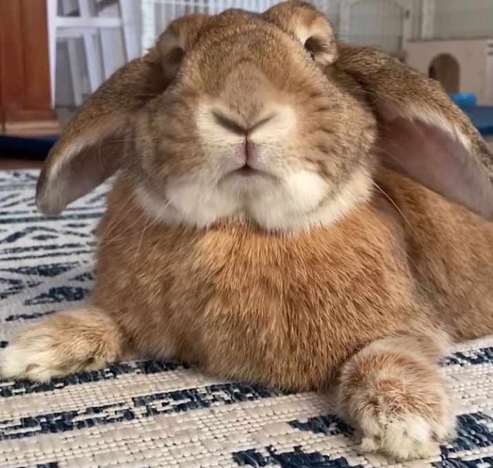 Photo of Leona