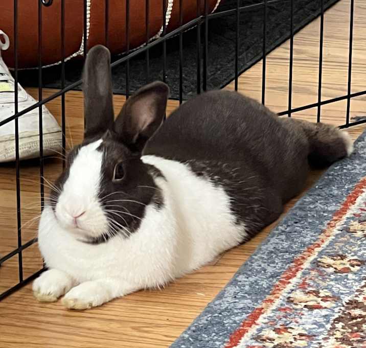 Photo of Hershey