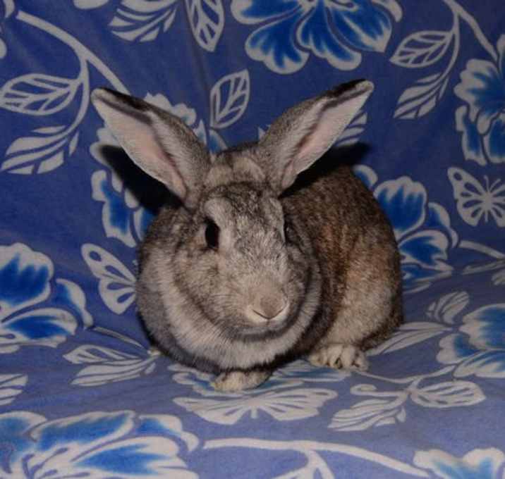 Photo of Paula