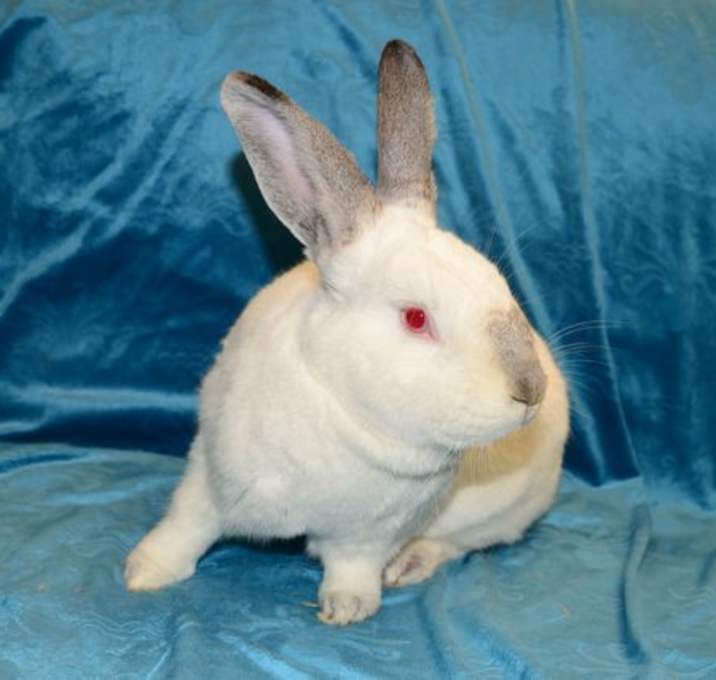 Photo of Eureka