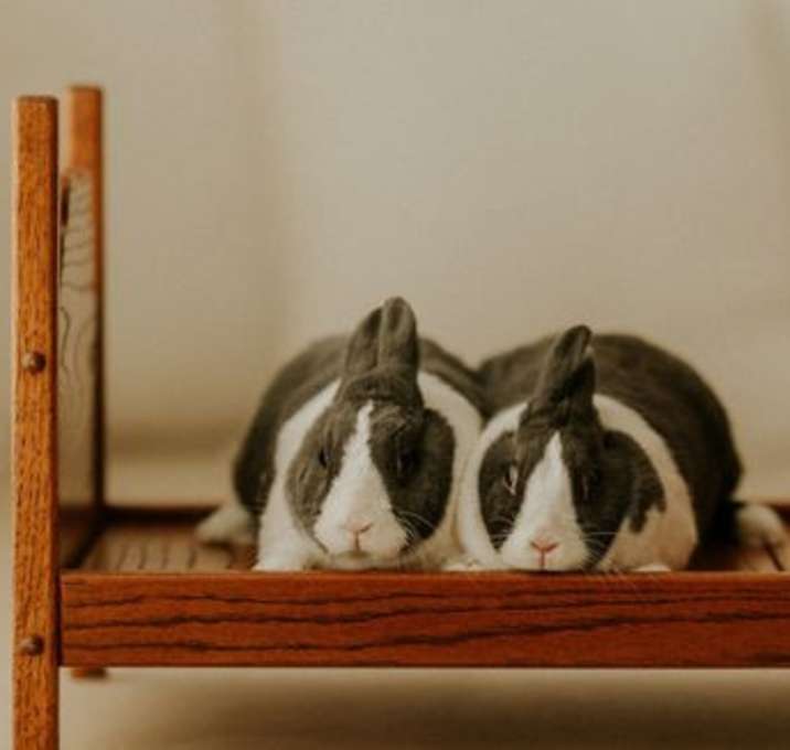 Photo of Loona