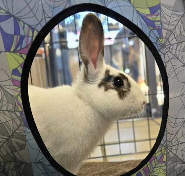 Photo of Archer