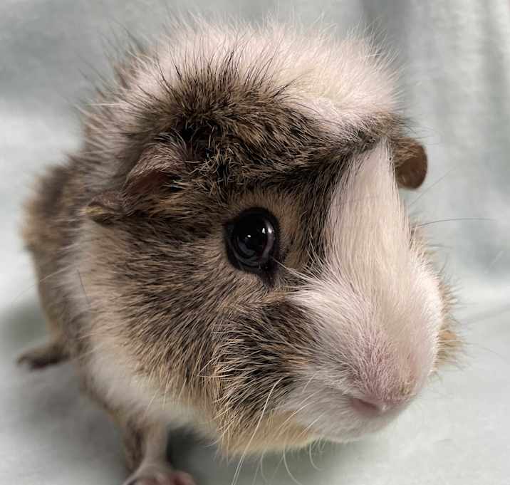 Photo of Rodger