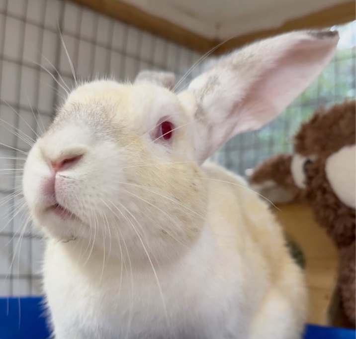 Photo of Yuki