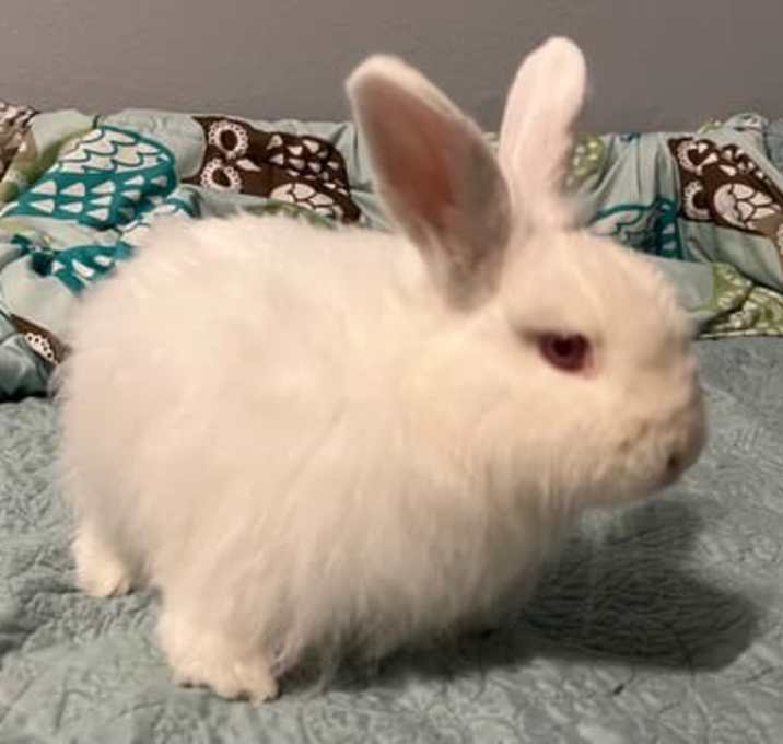 Photo of Martha