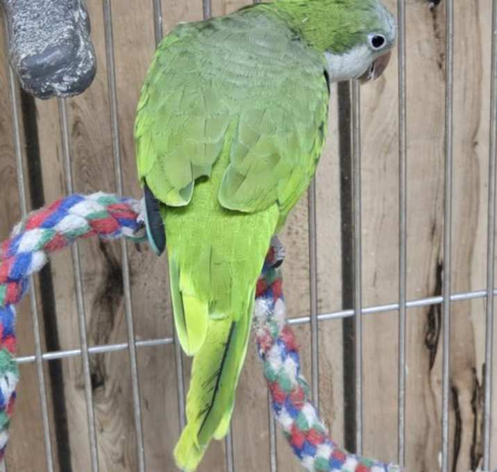 Photo of Ivan