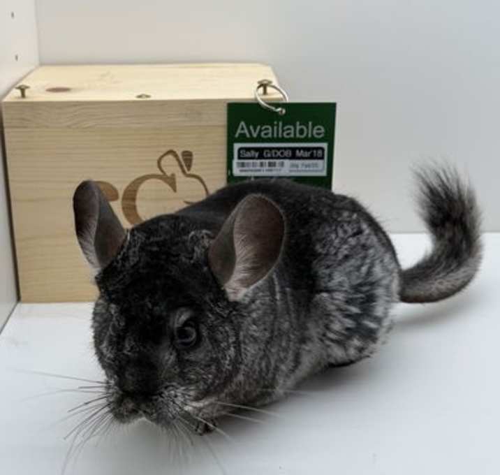 Photo of Sally
