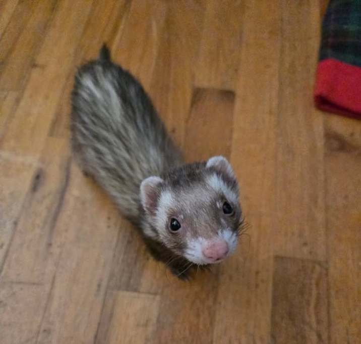 Photo of Arya