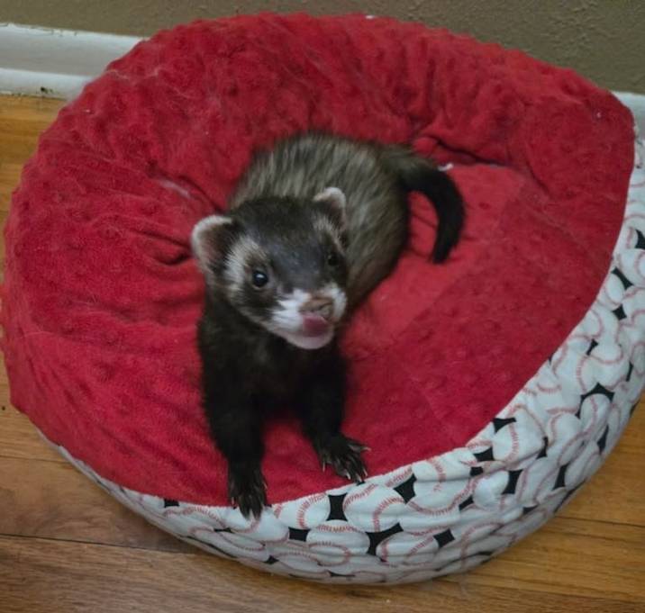 Photo of Wanda