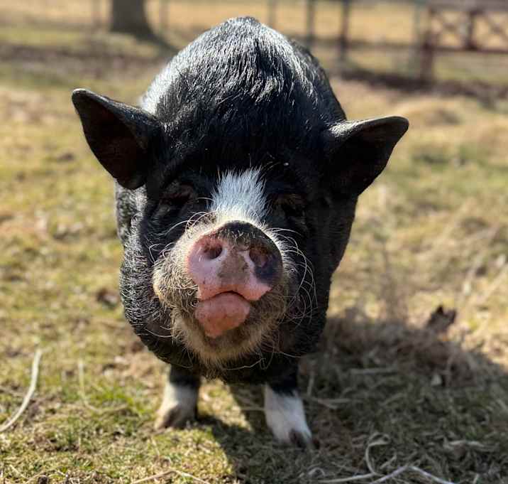 Photo of Denise