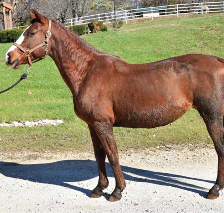 Photo of MACI MAY