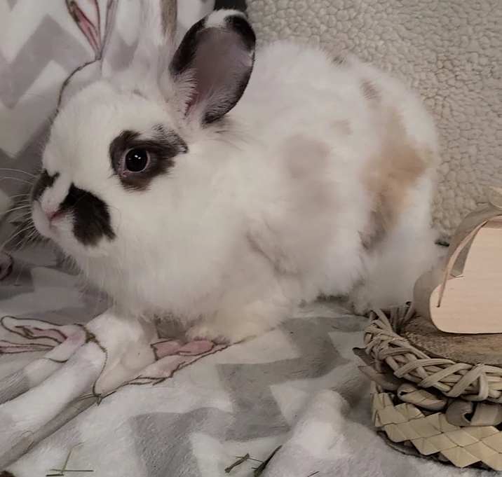 Photo of Natasha