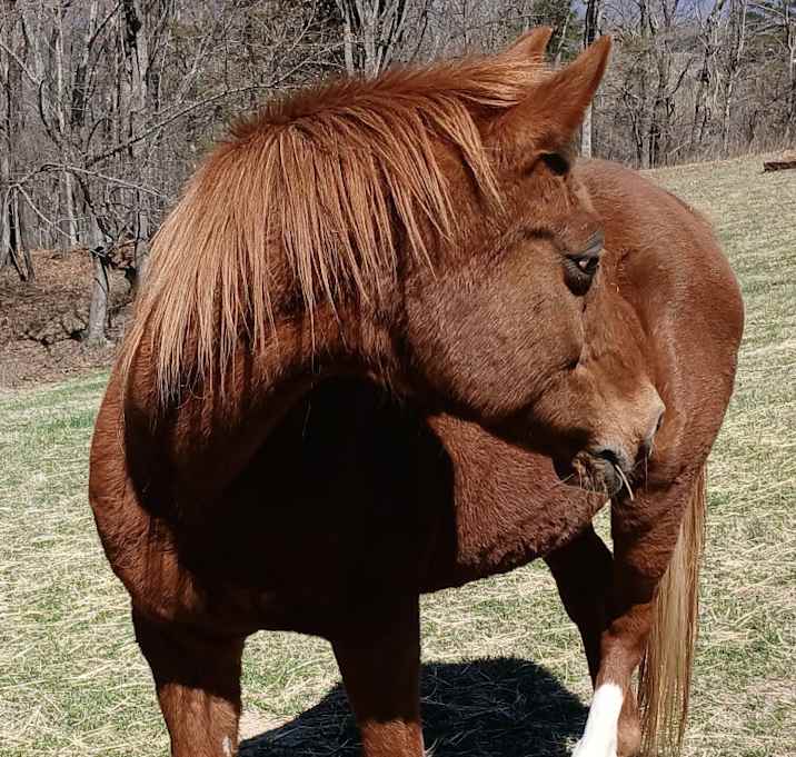Photo of Cassie