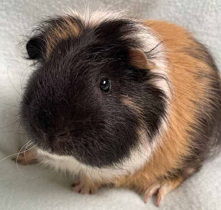 Photo of Stephen