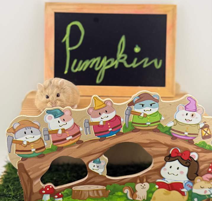 Photo of Pumpkin