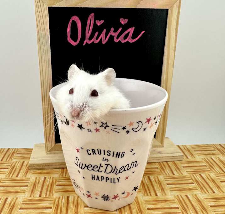 Photo of Olivia