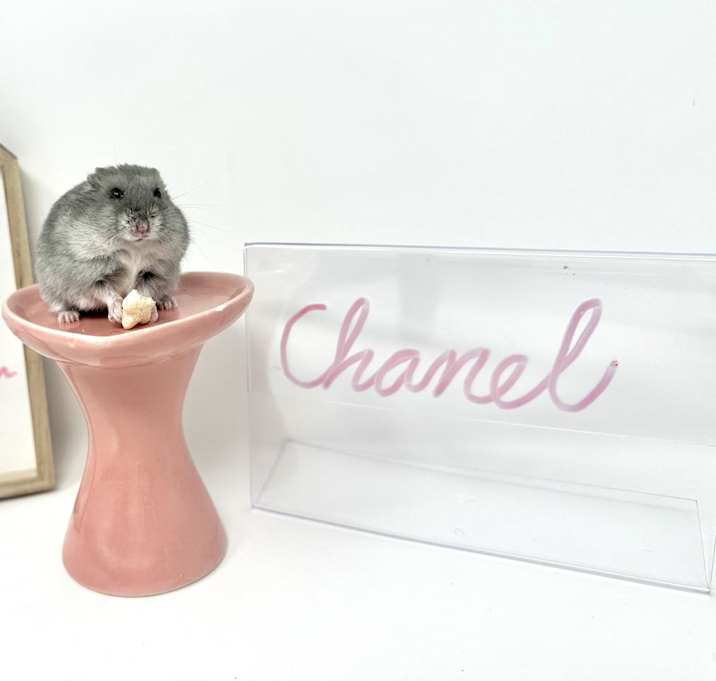 Photo of Chanel
