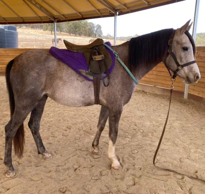 Photo of Juliette