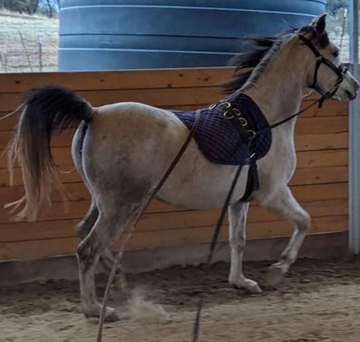 Photo of Karli