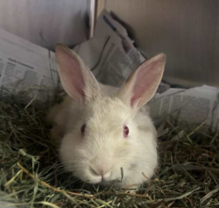 Photo of DISCO!