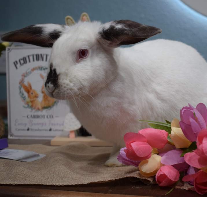 Photo of Mitzi