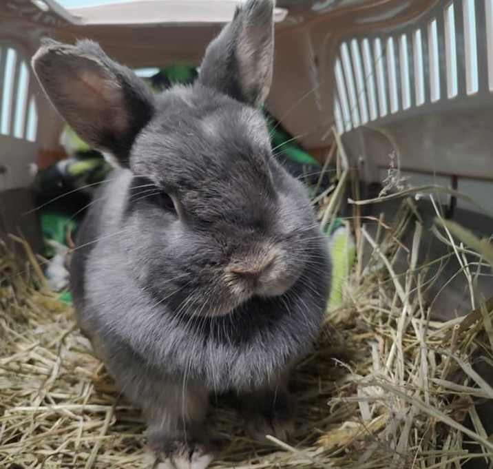 Photo of Bernice