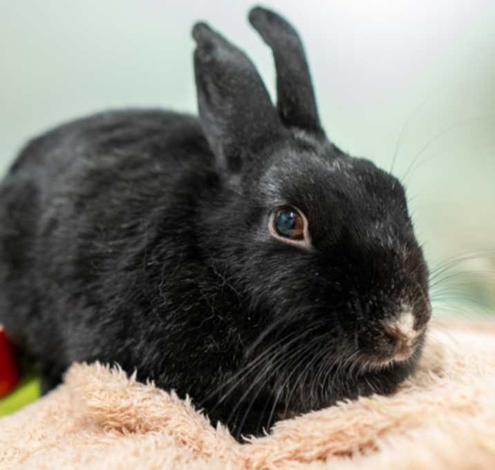 Photo of Berta