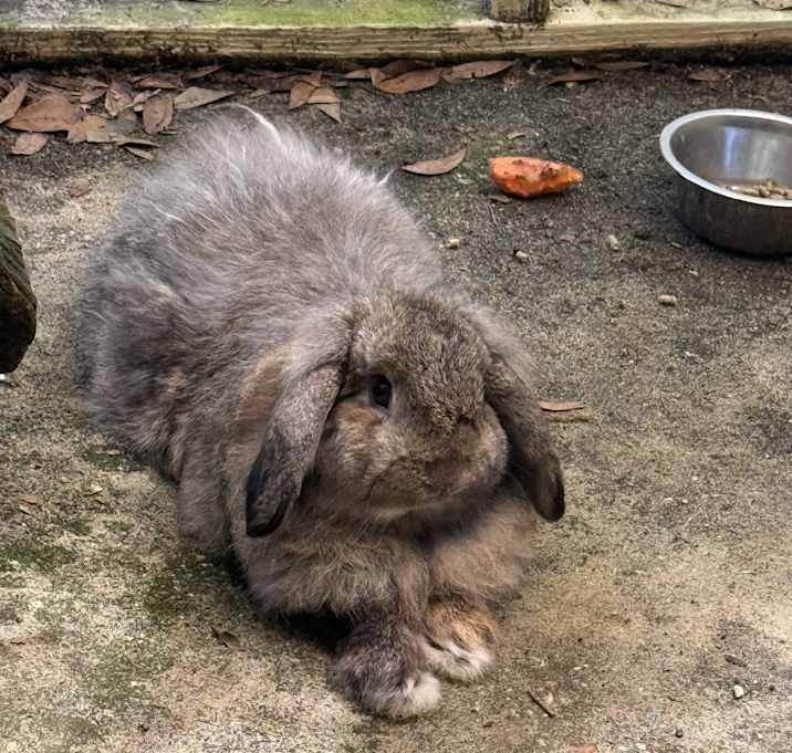 Photo of Bunny Sanders