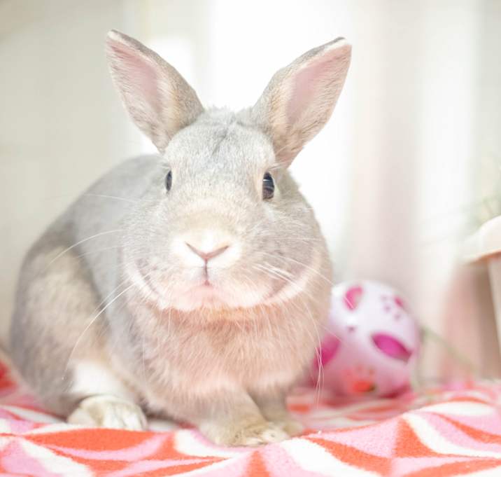 Photo of Tony