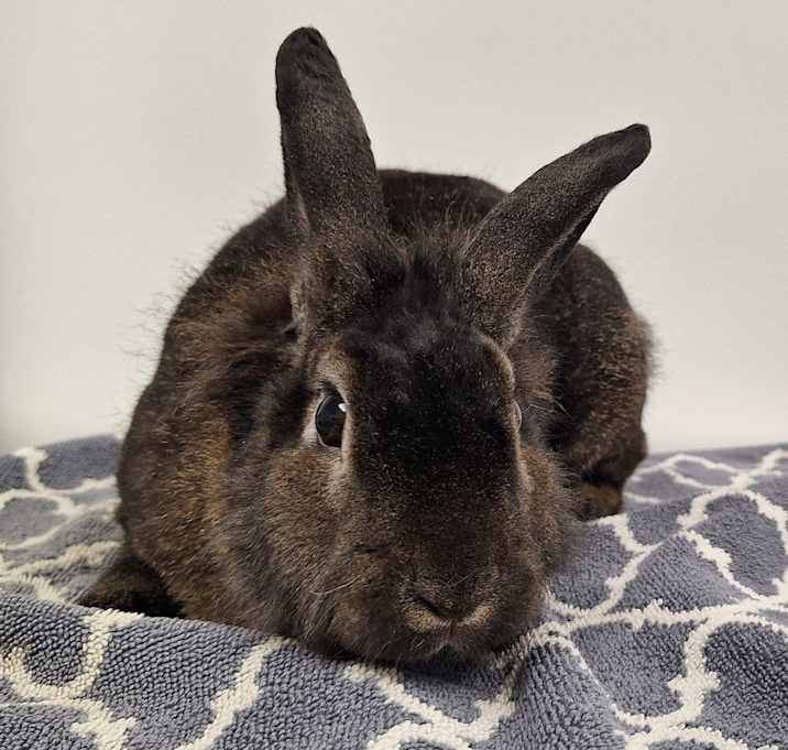 Photo of Kramer