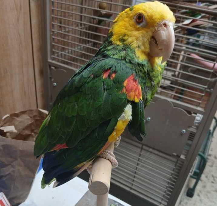Photo of Zach/Sweet Pea