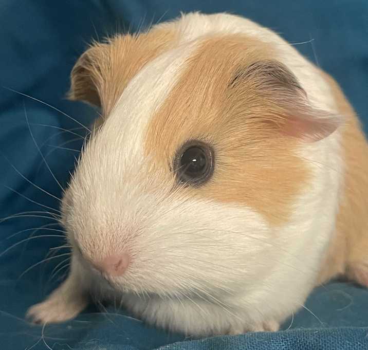 Photo of Amy