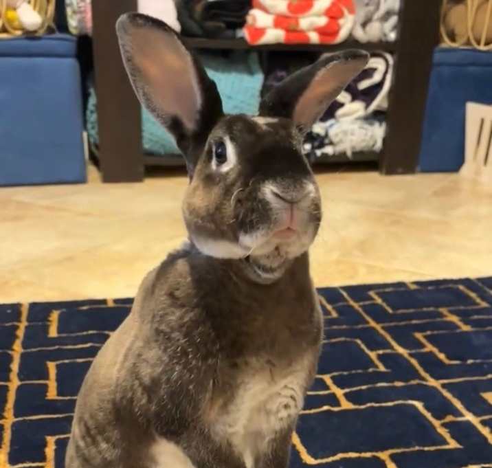 Photo of Tuck