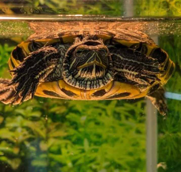 Photo of Bubbles