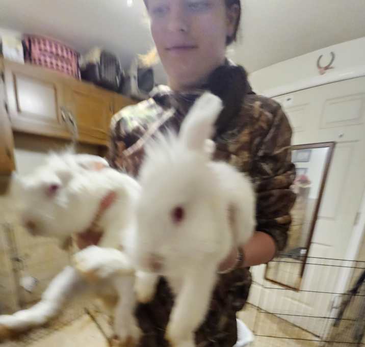 Photo of Snowball