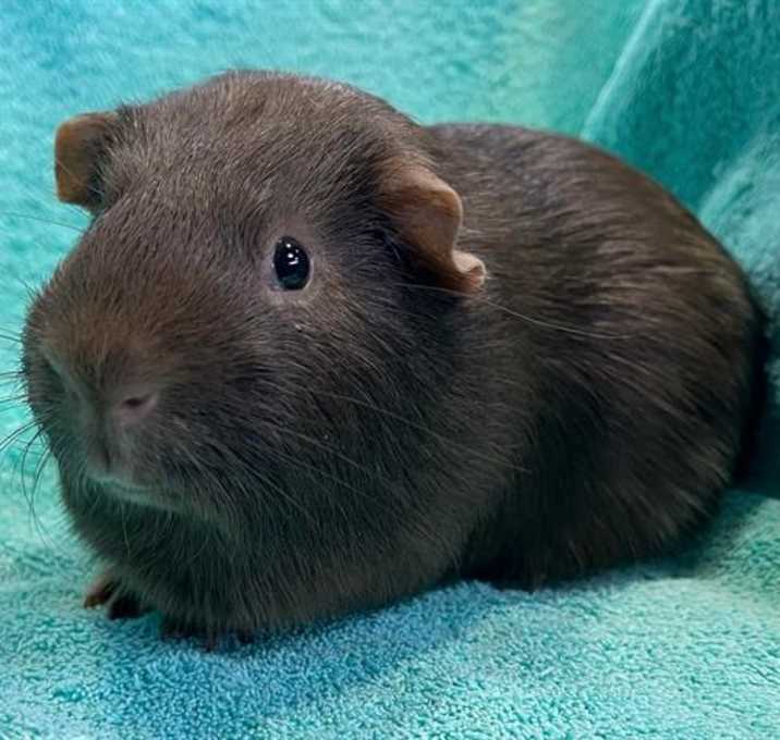 Photo of POCKET