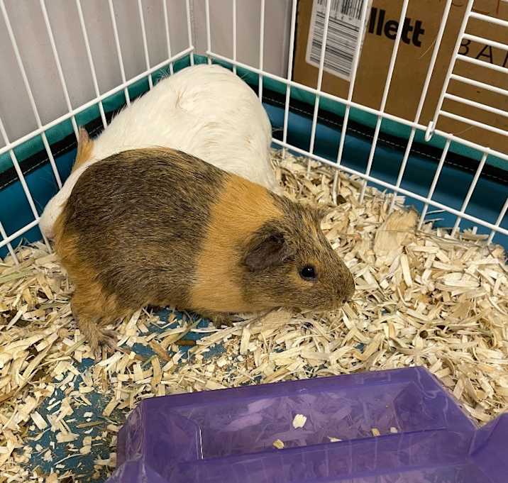 Photo of Eileen