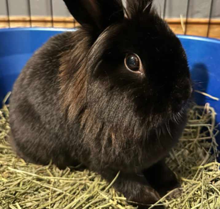 Photo of Louise