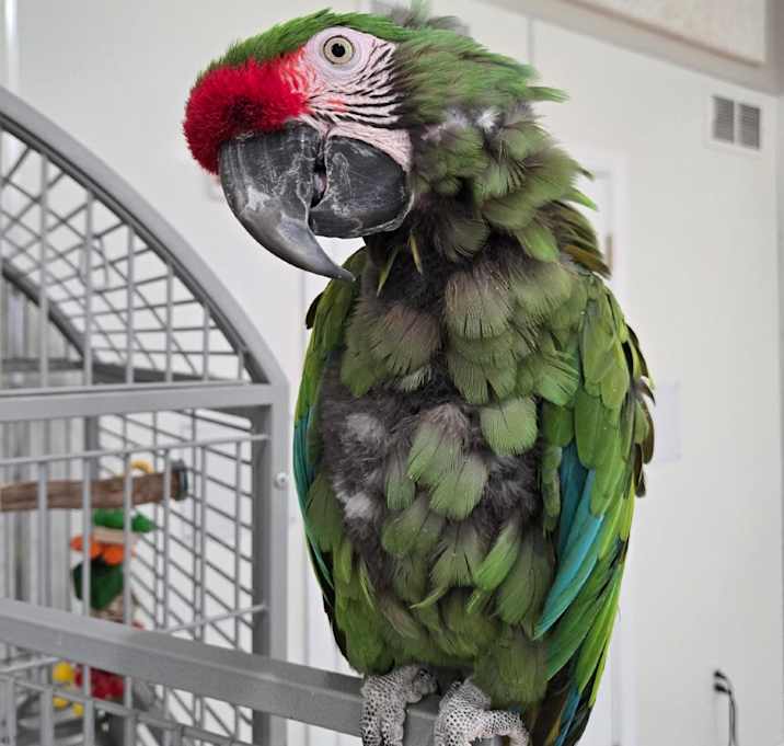 Photo of Maganda