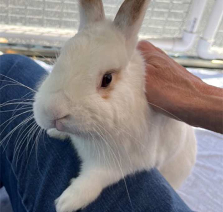 Photo of BARNABY