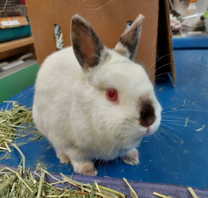 Photo of Ella