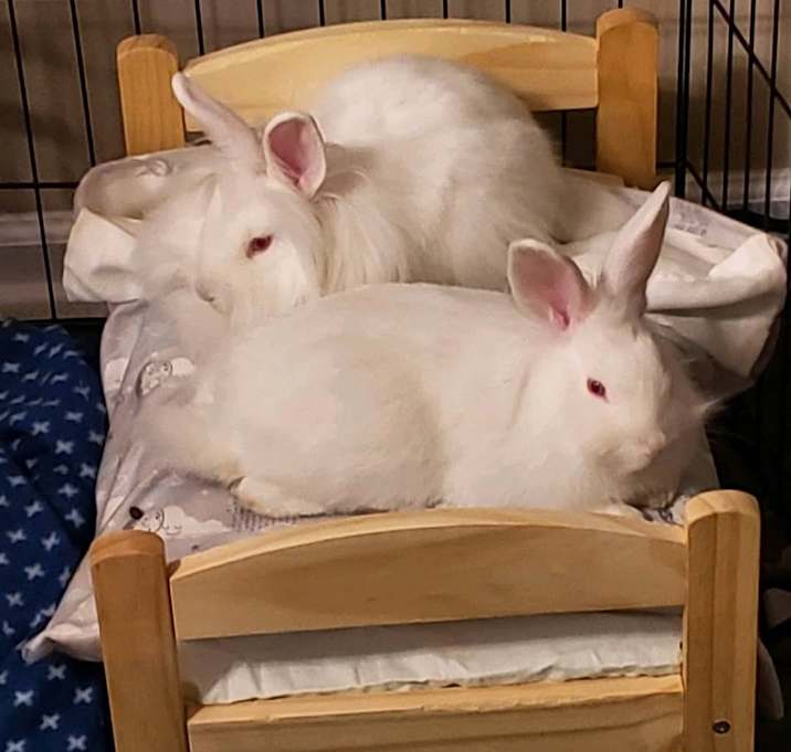 Photo of *Eddie and Buggs