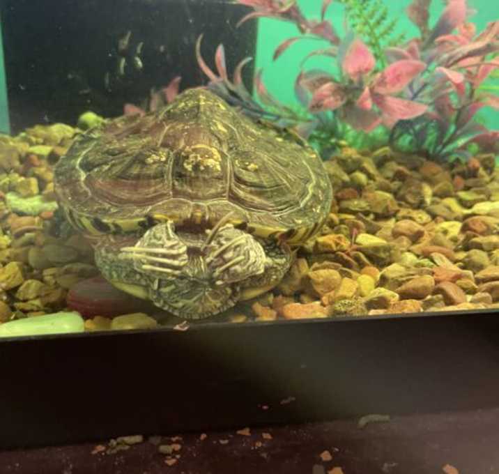 Photo of Jack Jack