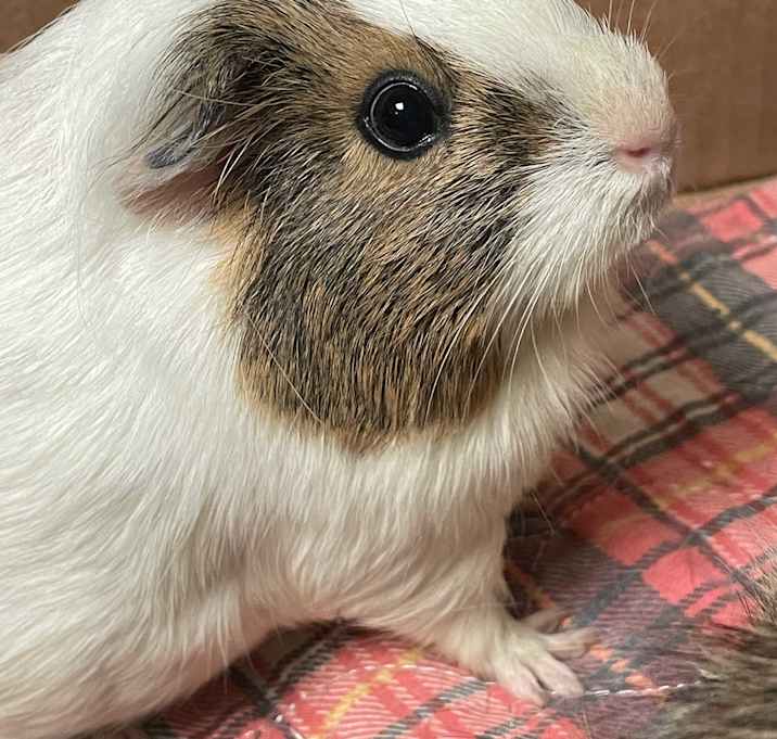 Photo of Gina