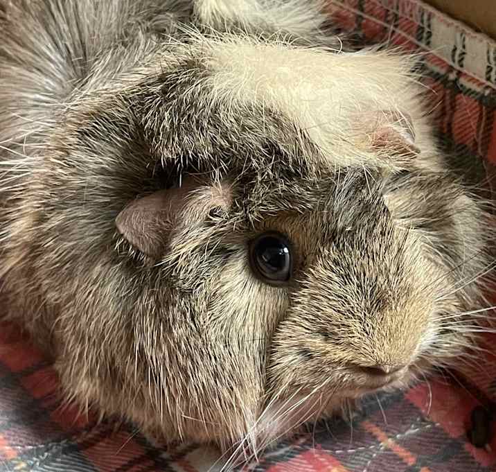 Photo of Madeline