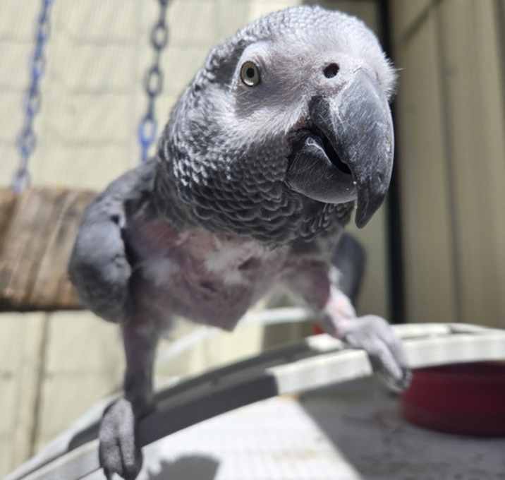 Photo of Baby Aka Circe