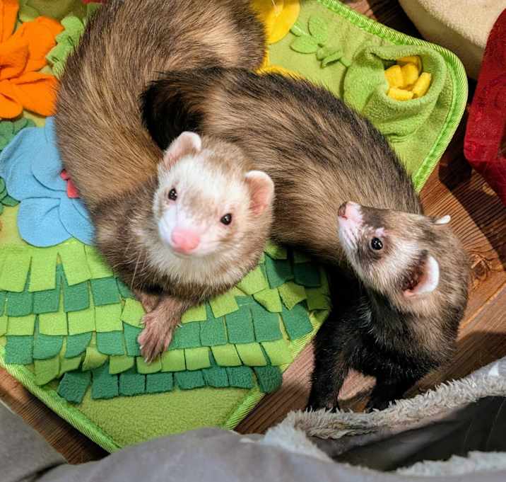 Photo of Bandeta and Big Guy