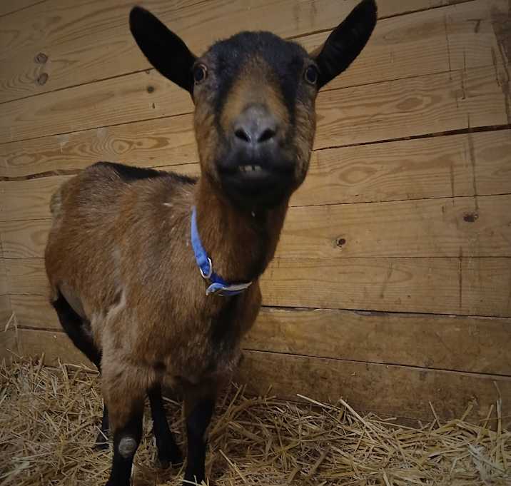 Photo of Mandy