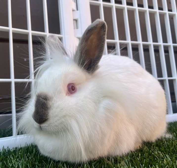 Photo of MOCHA