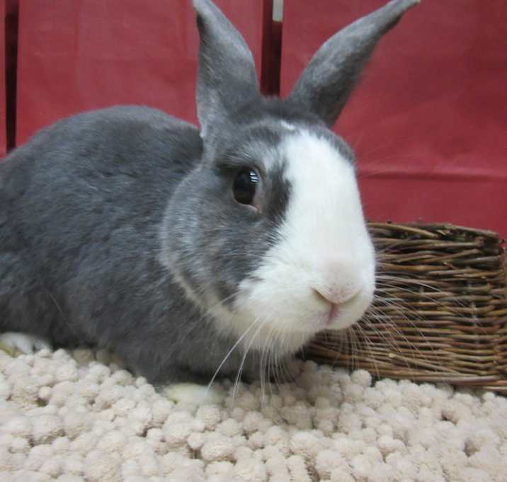 Photo of Wyatt